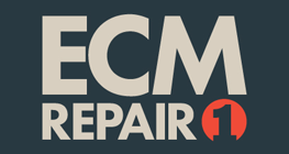 ECM Repair 1